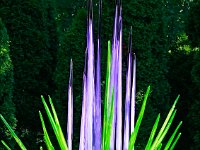 Chihuly blown glass (2)