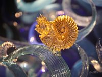 ChihulyIMG 1216