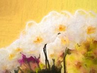 white orchid-124504-impressionist-art2