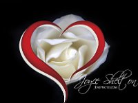 Tilman Rose (4) heart