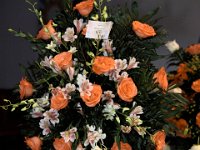 2017-JEMSPHOTO--IMG 2344 Edit