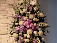 2017-JEMSPHOTO--IMG 2358 Edit