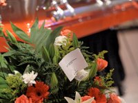 2017-JEMSPHOTO--IMG 2371 Edit