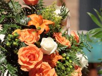 2017-JEMSPHOTO--IMG 2494 Edit