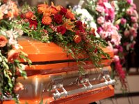 2017-JEMSPHOTO--IMG 2672 Edit