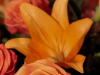 2017-JEMSPHOTO-Pat-IMG 0033