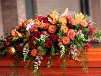 2017-JEMSPHOTO-Pat-IMG 2329 Edit