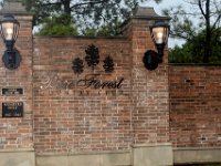 2017-JEMSPHOTO-Pat-IMG 3938 Edit