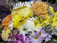 2017-JEMS-Bailey-IMG 4689